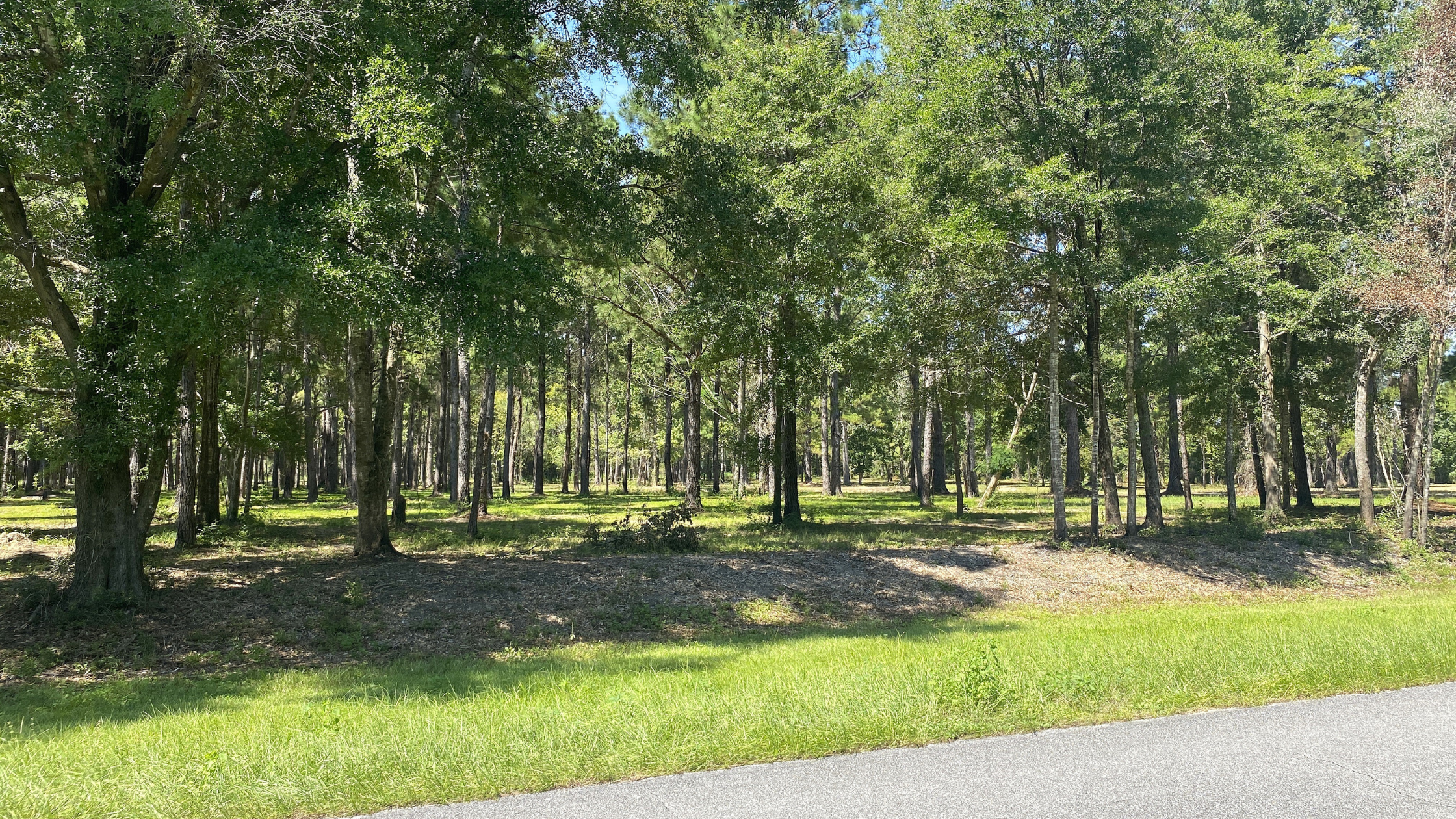 Florida Vacant Land, Acreage, Gulf County, Wewahitchka, Additional Land Available, Port St Joe